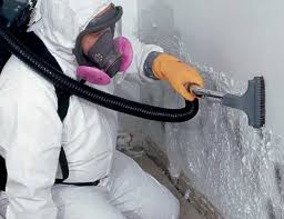 Best Black Mold Removal  in Crivitz, WI